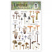 LAVINIA STAMPS MUSHROOM STICKER 2 (Pre order now shipping Mid December 2024)- LST005