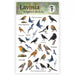 LAVINIA STAMPS SONGBIRD STICKER 2 (Pre order now shipping Mid December 2024)- LST002