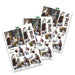 CRAFT CREATIONS DIE CUT STABLE SCENE - DCD634