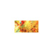 COLOURCRAFT BRUSHO 15G YELLOW OCHRE - BRB12YO