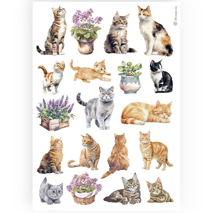 STAMPERIA A4 RICE PAPER PACKED- CATS -DFSA4887