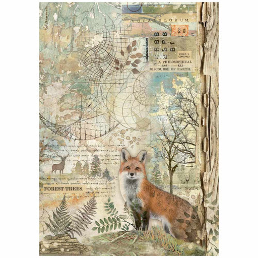 STAMPERIA A4 RICE PAPER PACKED- FOREST FOREST FOX - DFSA4951