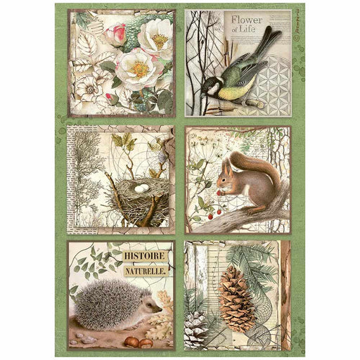 STAMPERIA A4 RICE PAPER PACKED- FOREST 6 CARDS - DFSA4952