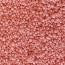 USA QUEST MINI PRILLS CORAL SEA - PRILLS 820