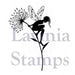 LAVINIA STAMPS SEEING IS BELIEVING - LAV380