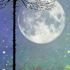 LAVINIA SCENE SCAPES NIGHT TIME MAGIC - LSS01