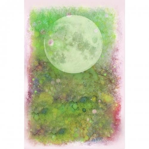 LAVINIA SCENE SCAPES NURTURE - LSS20