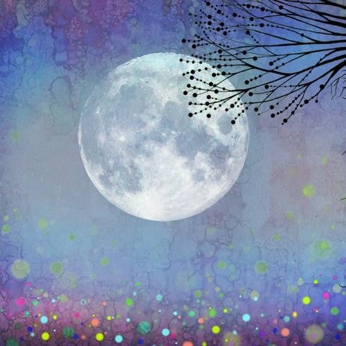 LAVINIA SCENE SCAPES STARBRIGHT - LSS25