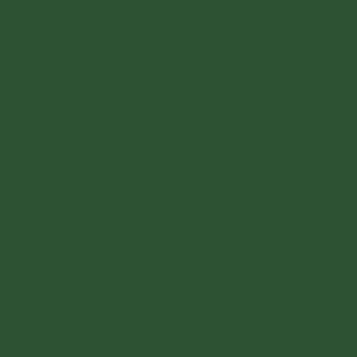 BAZZIL 12 X 12 CARDSTOCK DARK OLIVE - C372384