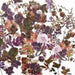 49 AND MARKET ARTOPTIONS PLUM GROVE LASER CUTS WILDFLOWER - APG-38503