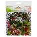 49 AND MARKET CHRISTMAS SPECTACULAR ACETATE FOLIAGE - CS23-24463