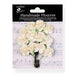 LITTLE BIRDIE FLOWERS IVORY PEAR-CATALINA -CR94246