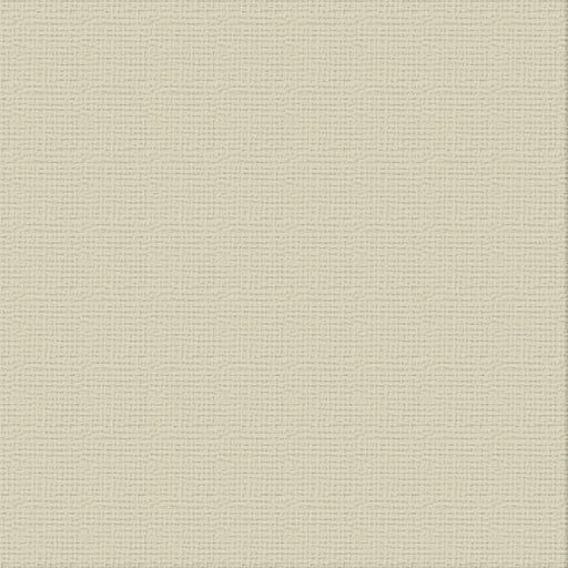 COUTURE CREATIONS-12X12 CARDSTOCK PKT 10- DELICATE MEDLAR - ULT200002