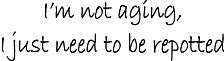 I'M NOT AGING RUBBER CLING STAMP - CC31045