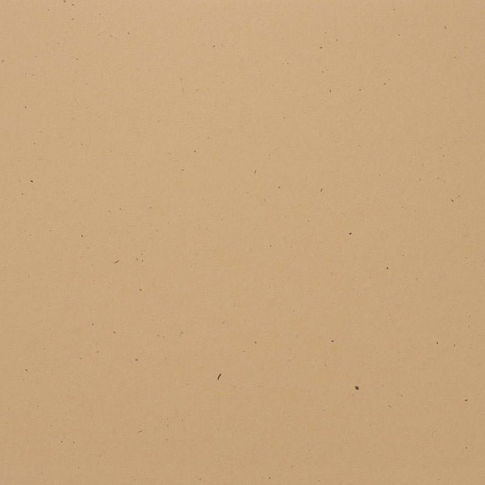 BAZZILL CARDSTOCK 12 X 12 SAND DOLLAR - 300136