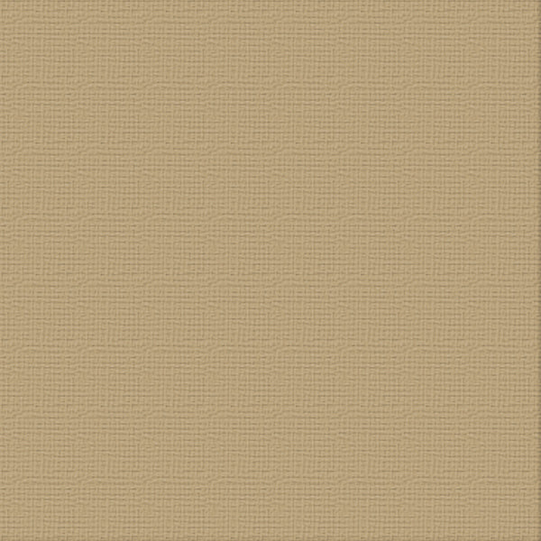 COUTURE CREATIONS-12X12 CARDSTOCK PKT 10- PAPER BAG - ULT200045